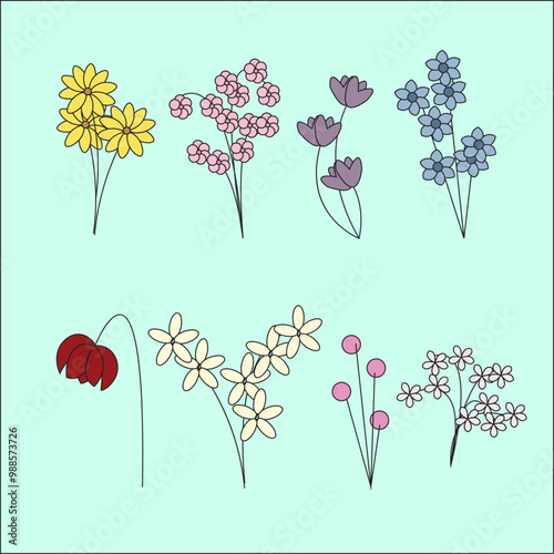 various kinds and unique shapes of flowers illustration