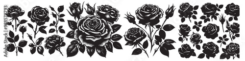 rose isolated on white background vector illustration design black and white art