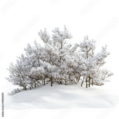 Pine trees are covered in snow, standing on a hill. The snow is piled up around the trees.