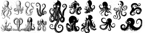 Ocean scare monster or fantasy creature arm with curved spiral tentacles and suckers, isolated monochrome modern octopus curved spiral tentacles.