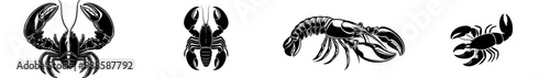 An illustration of a lobster in black and white