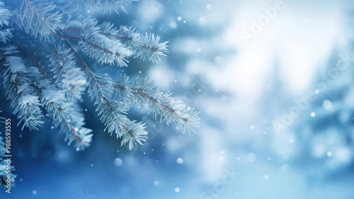 Pine tree snow backgrounds snowflake.