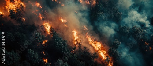 Aerial View of Massive Wildfire Spreading Through Forest