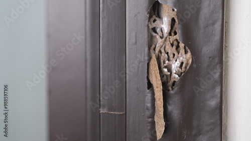 A hole on wood door frames that eaten by termites, Termine comb. photo