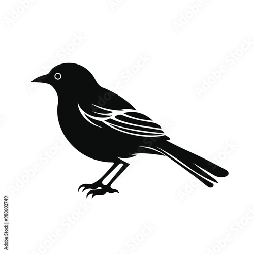 black silhouette of a mockingbird isolated on white background