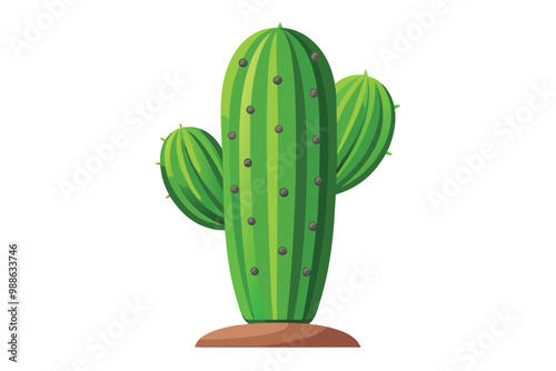 A vibrant green cactus stands isolated, showcasing its unique shape and spines on a white backdrop, cactus. isolated white background