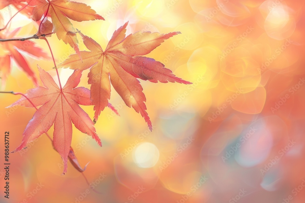 Red maple leaves leaf background autumn. Red maple leaves leaf background autumn.