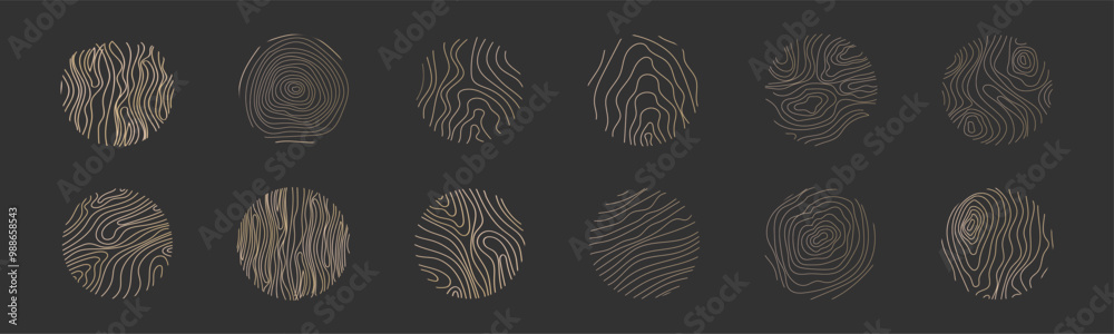 Golden thin line tree ring collection. Elegant gold wooden section ...