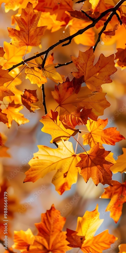 Golden Autumn Leaves On A Branch Golden Autumn Leaves On A Branch