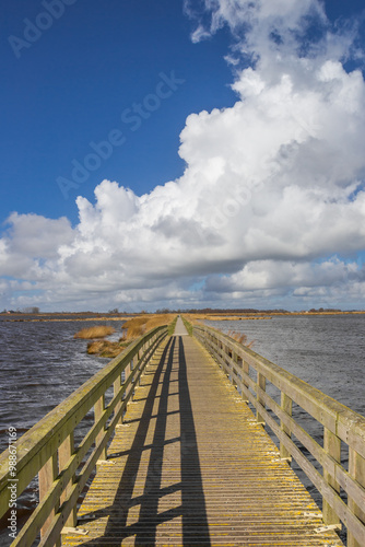 Wooden bridge over the lakes in Roegwold nature reserve in Groningen, Netherlands photo