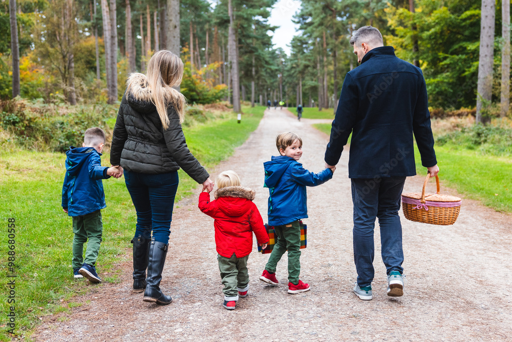Happy family walking on a forest path holding hands