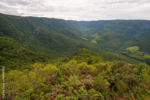 Serra do mar forest in Serra Gaucha, Rio Grande do Sul, Brazil.