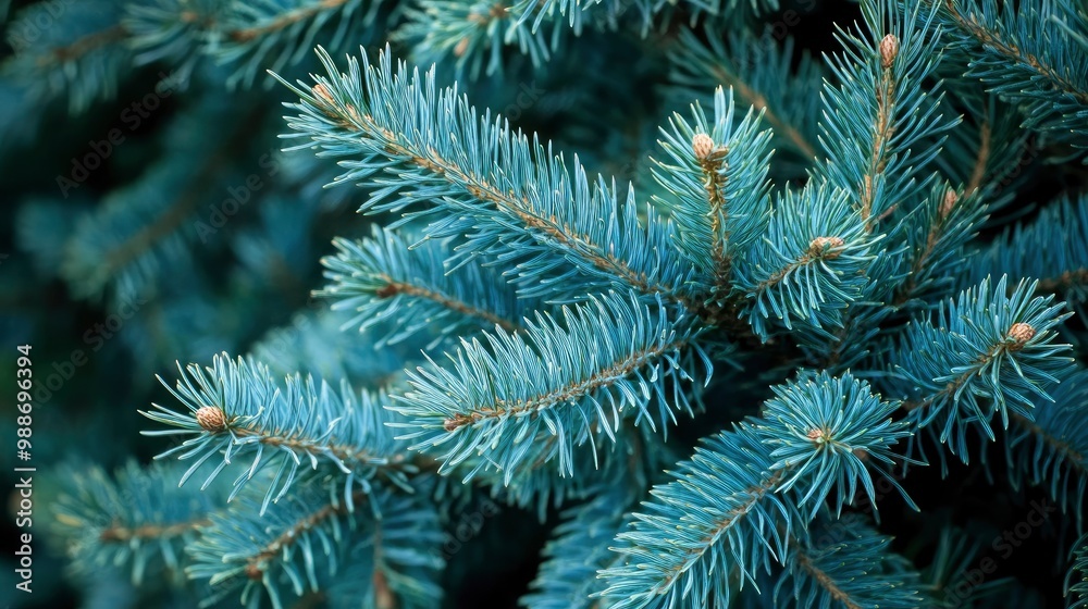short needles of a coniferous tree close-up on a green background, texture of needles of a Christmas tree close-up, blue pine branches, with generative ai short needles of a coniferous tree close-up on a green background, texture of needles of a Christmas tree close-up, blue pine branches, with generative ai