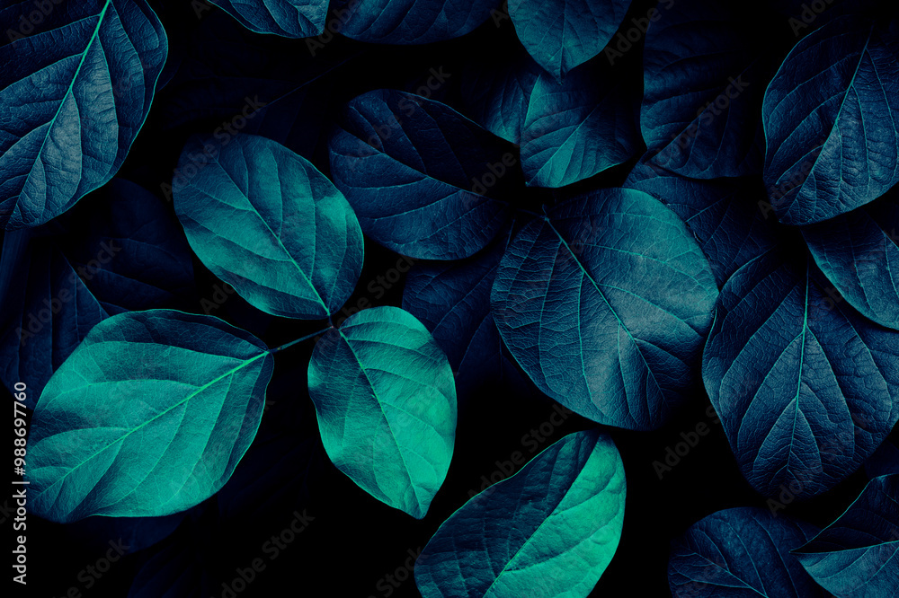 Blue leaf texture, dark nature background