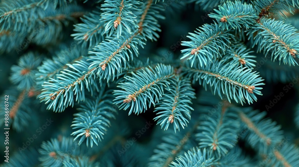 short needles of a coniferous tree close-up on a green background, texture of needles of a Christmas tree close-up, blue pine branches, with generative ai short needles of a coniferous tree close-up on a green background, texture of needles of a Christmas tree close-up, blue pine branches, with generative ai