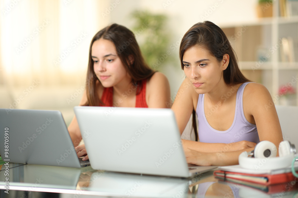 Two students e-learning together in a house Two students e-learning together in a house