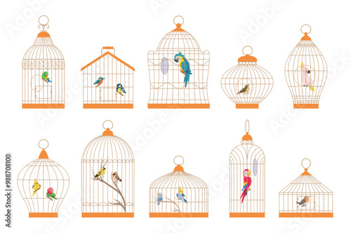 Cartoon birds in cages. Decorative bird and parrots in different cage. Canary bullfinch cockatoo budgie, brazil exotic birds nowaday vector clipart