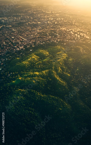 Urban sprawl encroaching on a green forest, illustrating the environmental impact of city expansion and land use