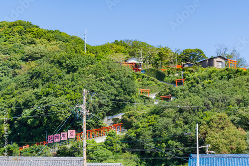 荒熊神社の赤い鳥居が連なる参道　愛知県南知多町 photo