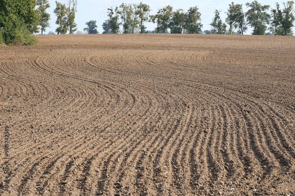 A plowed field in the hills with an autumn forest on the horizon A plowed field in the hills with an autumn forest on the horizon