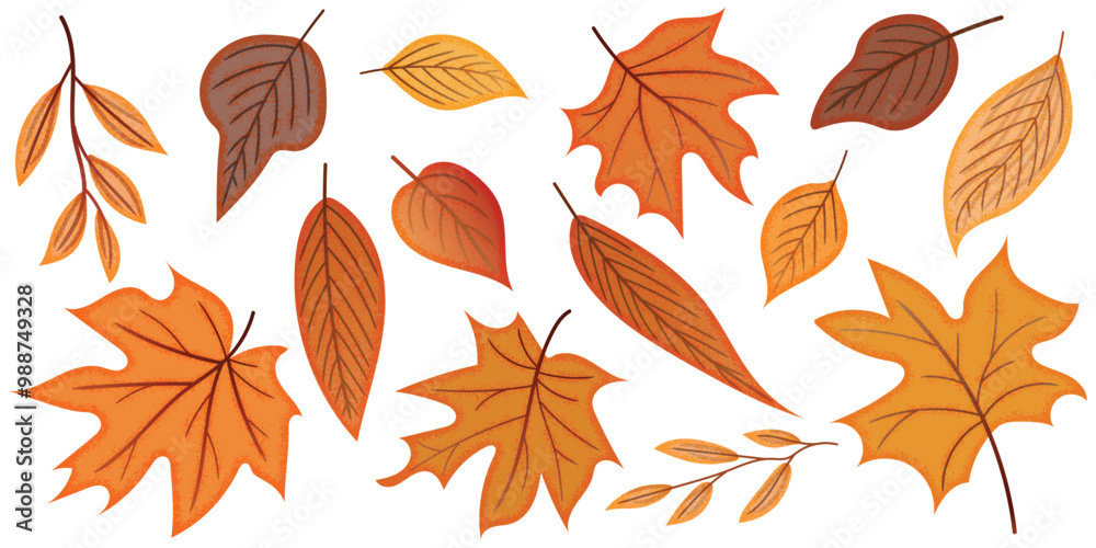 Fototapeta premium Autumn leaves isolated on a white background, vector illustration