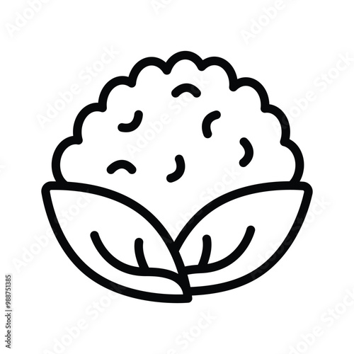 Fresh cauliflower icon, ideal for healthy eating and cooking,