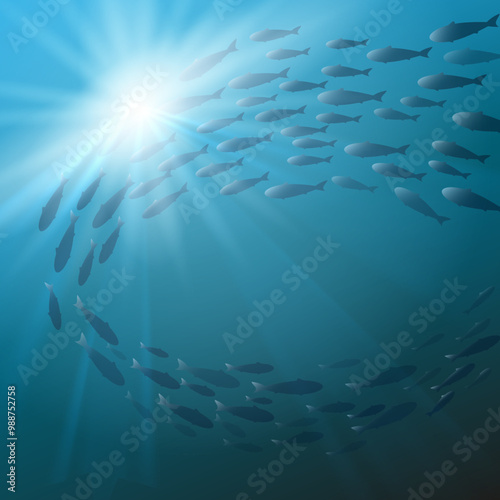 Shoal of fish swimming underwater