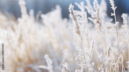 Frosty grass blades with intricate ice crystals