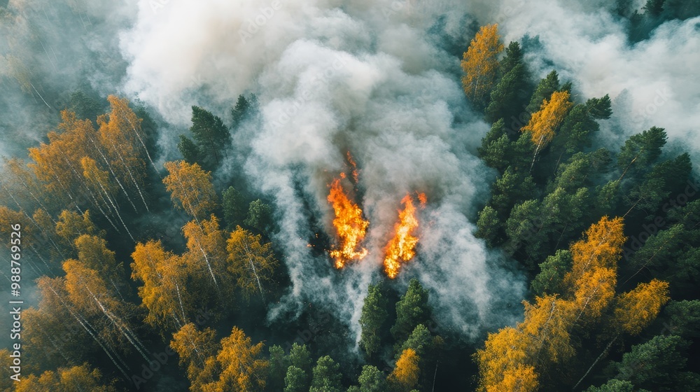 A forest fire is raging through a forest, with smoke billowing into the sky A forest fire is raging through a forest, with smoke billowing into the sky
