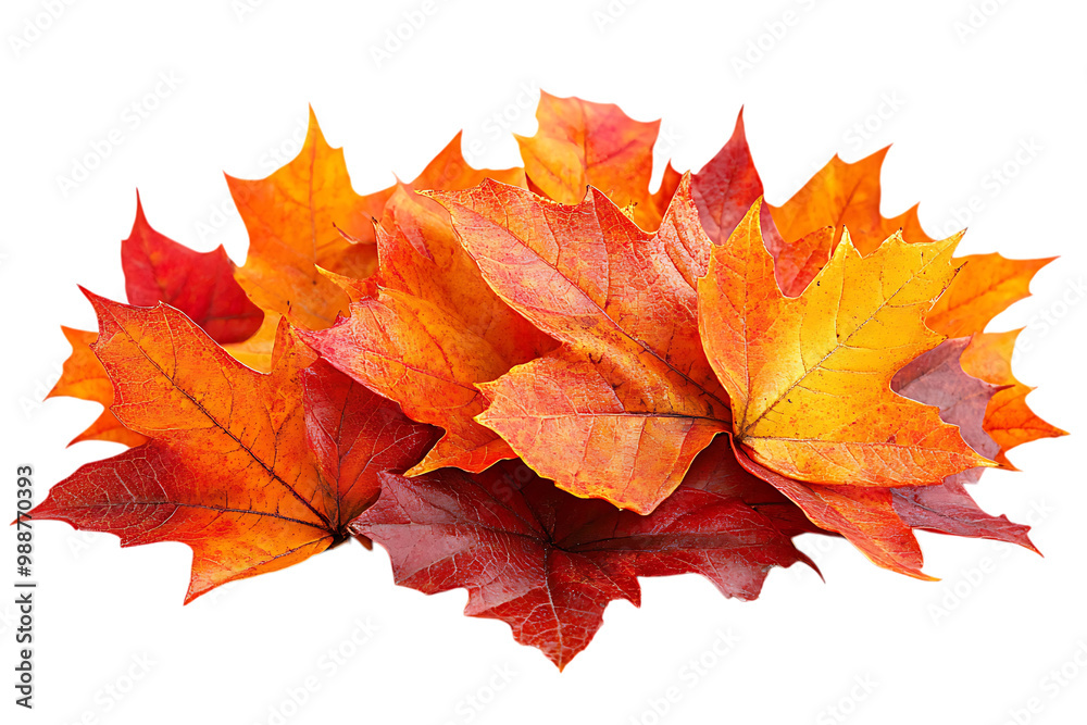 Fototapeta premium a pile of colorful leaves