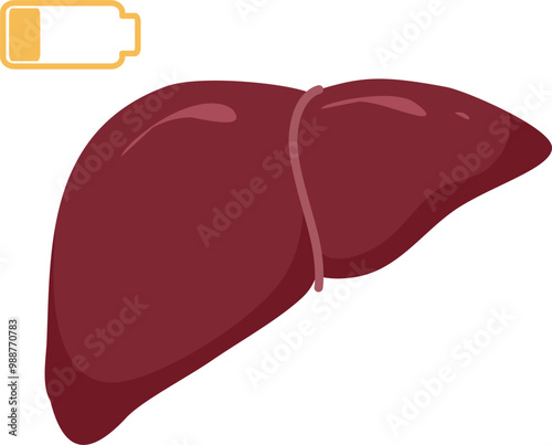 Liver disease illustration 