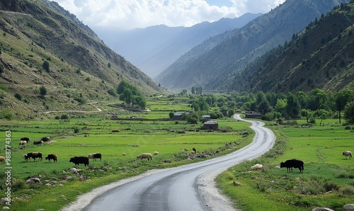 Winding road through a green valley in mountains.