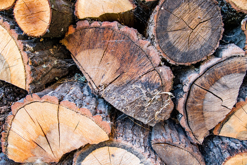 Wood logs for firewood. Close-up, selective focus