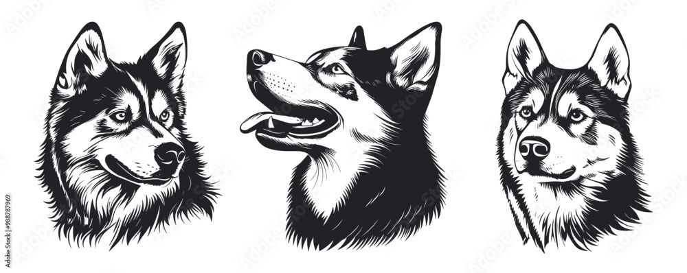 Obraz premium Husky dog portrait. Profile side and front view. Mouth closed and opened toungue out. Domestic dog breed. Home pet animal. Simple black and white lynocut flat style. Isolated vector clipart collection