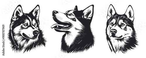 Husky dog portrait. Profile side and front view. Mouth closed and opened toungue out. Domestic dog breed. Home pet animal. Simple black and white lynocut flat style. Isolated vector clipart collection