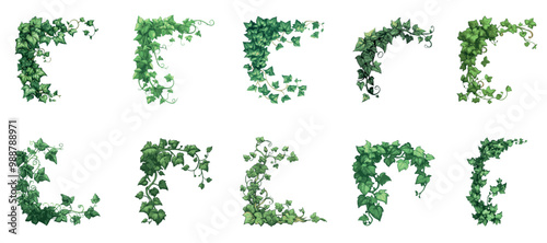 Ivy frame corners set. Liana climbing vine creeper plant green leaves. Decorative grapes hanging on wall. Botanical nature foliage rectangular border corner. Cartoon style isolated vector clipart