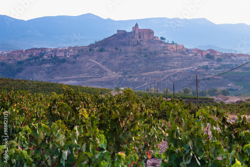 A serene vineyard stretches into the distance leading up to a quaint village perched on a hilltop, bathed in the soft morning light with mountains in the background La Rioja in Spain photo