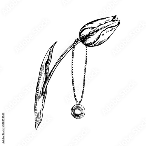 The pendant is round, on a chain, with a stone. A jewelry pendant suspended from a tulip. A black and white vector graphic illustration made by hand. Isolate on a white background. Design element.