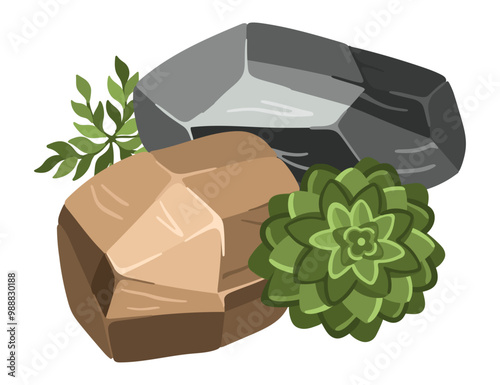 Stone and plant composition for architectural sketches. Entourage elements for landscape design. Succulents. Vector illustration.