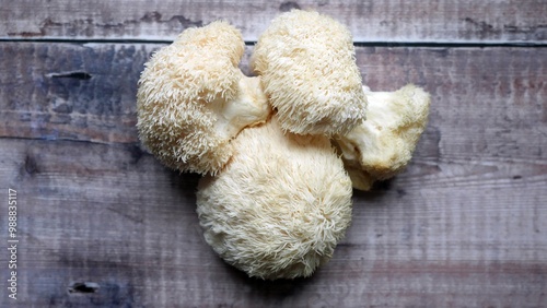 Lions Mane Mushroom, Edible Fungai, Organic Gourmet Delicacy