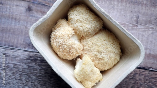 Lions Mane Mushroom, Edible Fungai, Organic Gourmet Delicacy Food
