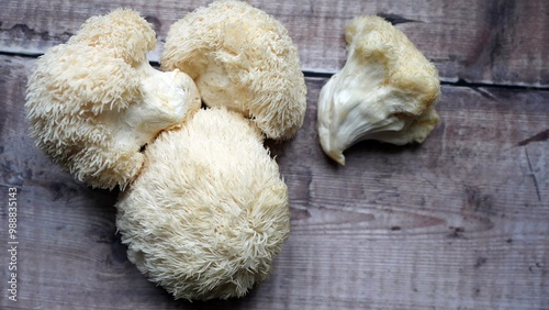 Lions Mane Mushroom, Edible Fungi, Organic Gourmet Delicacy, Plant Based Ingredient for Cooking