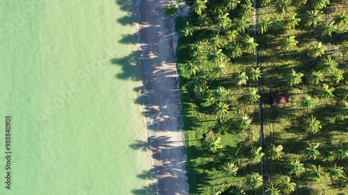 Praia do Patacho no Litoral norte do estado de Alagoas no nordeste do Brasil - Visto de cima com drone 4k photo