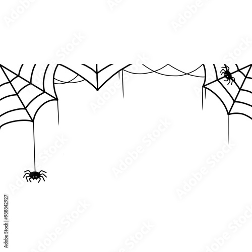 spider and web