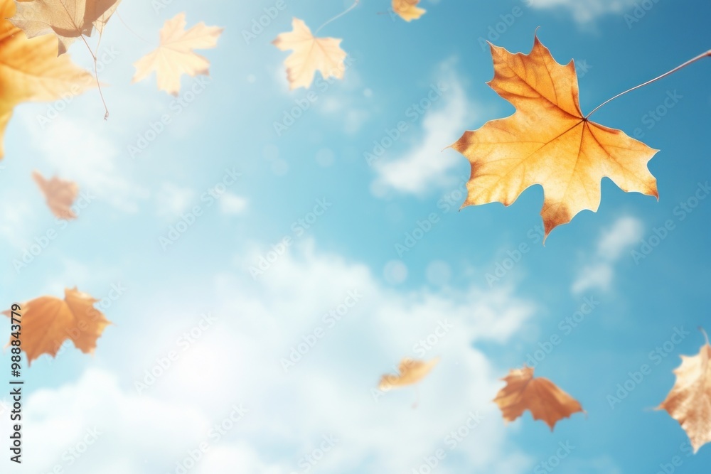 Autumn leaves against blue sky