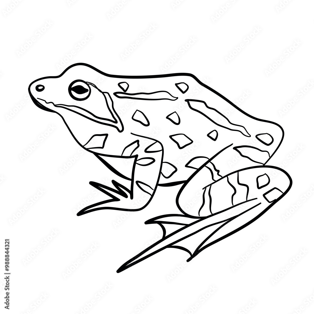 Naklejka premium Sitting Toad and Frog Outline Cartoon Amphibians Animal Icon, Vector Illustration
