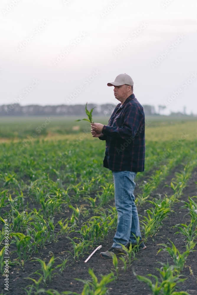 Fototapeta premium A man stands in a field while holding a plant.