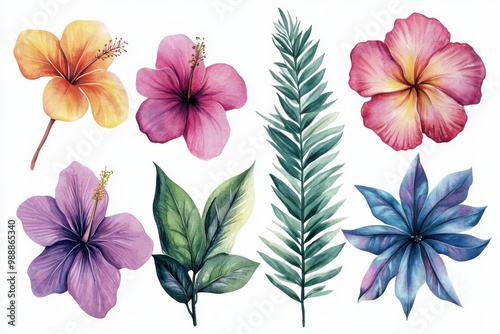 Floral seamless pattern with hibiscus blossom, pink and green, vector illustration for spring and summer design
