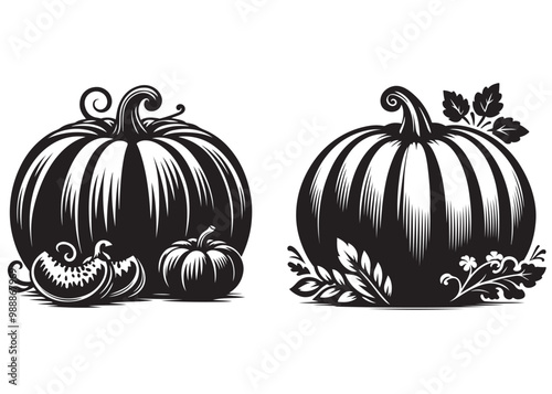 pumpkin vector silhouettes, Autumn pumpkin icon, halloween pumpkin with leaves, pumpkin vegetable white background. vector illustration
