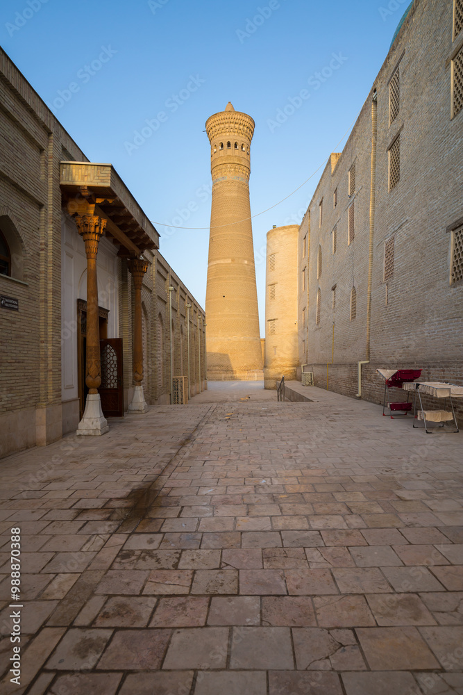 Fototapeta premium The Kalyan Minaret in Bukhara, Uzbekistan